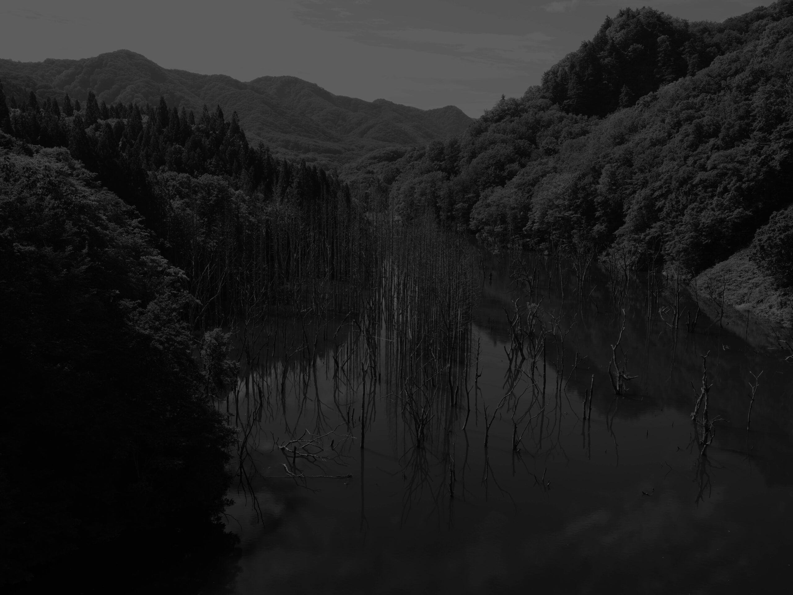 2025.06.11: Netsuzo & Gansaku Live review - 上野耕路公式
