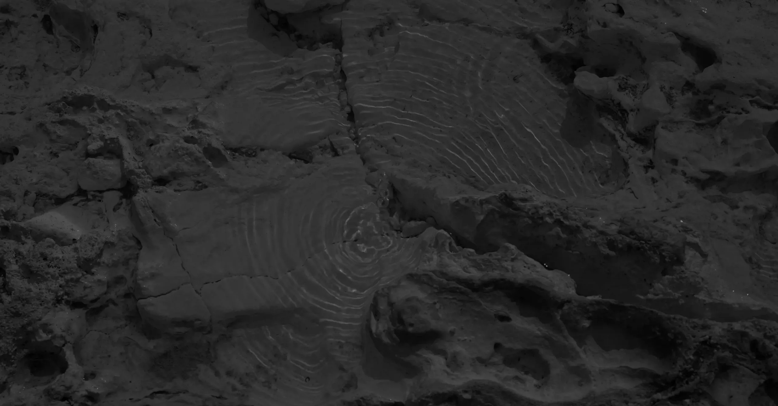 DISCOGRAPHY - 上野耕路公式サイト Koji Ueno Official Web